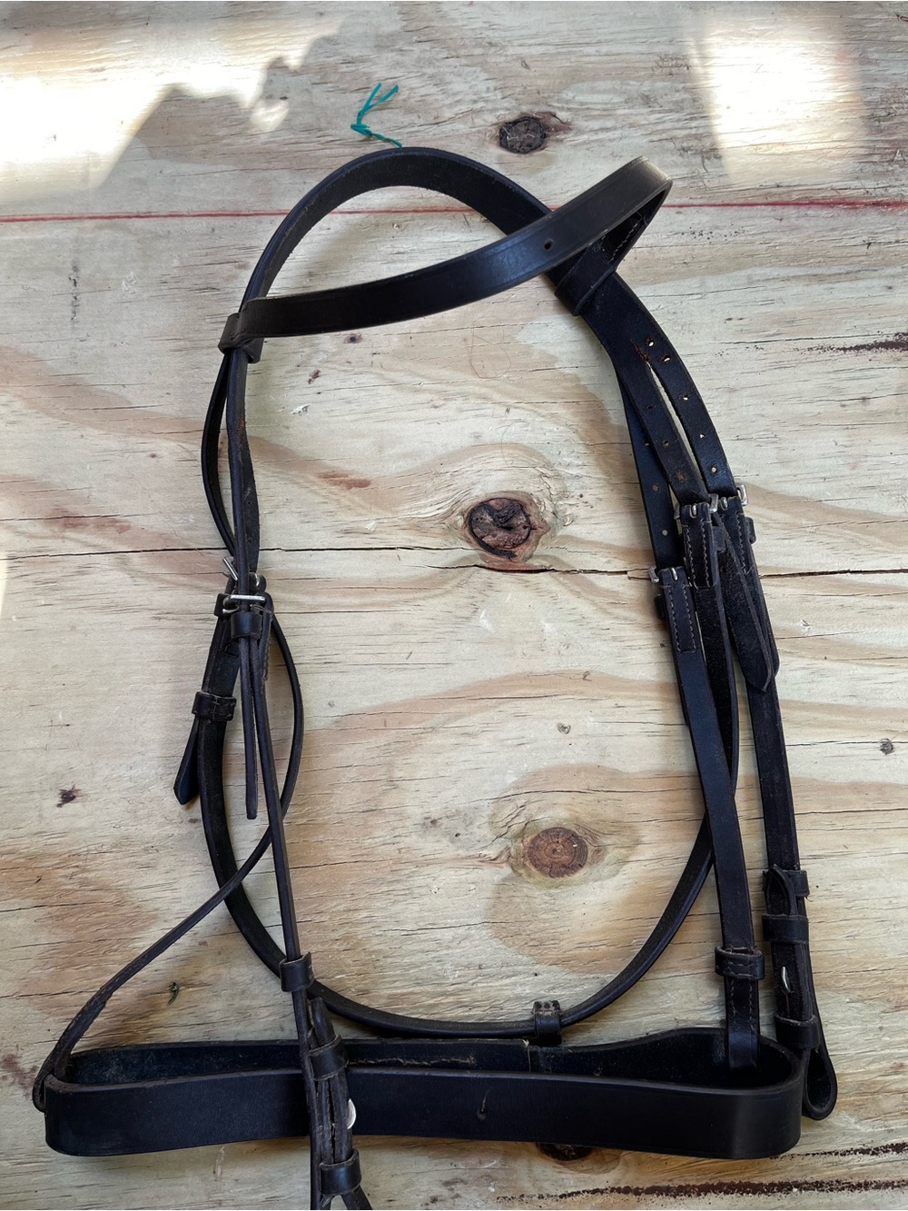 English Bridle